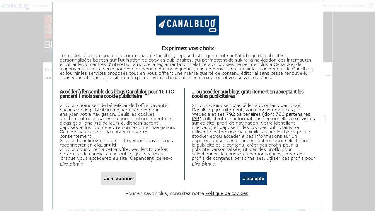 Capture d'écran de http://bianconi.canalblog.com/